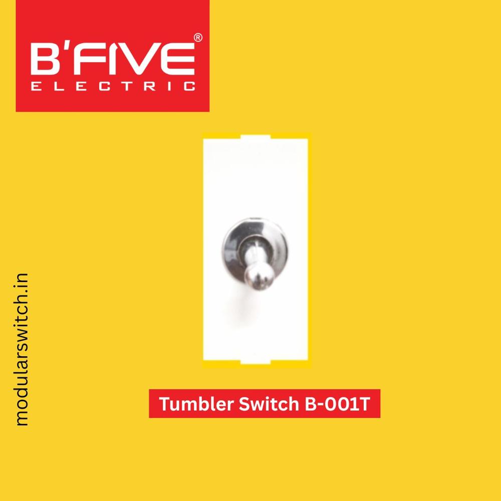 Electric Switch | Tumbler 6 and 16 AMP Switches
