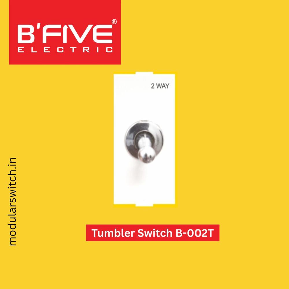 Electric Switch | Tumbler 6 and 16 AMP Switches
