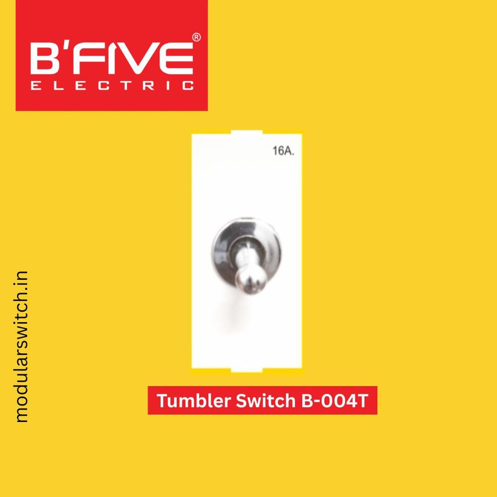 Electric Switch | Tumbler 6 and 16 AMP Switches