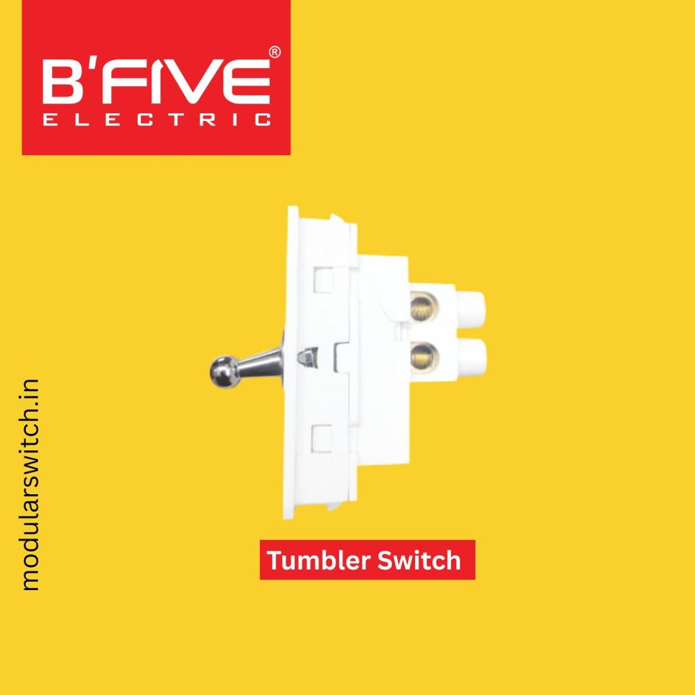 Electric Switch | Tumbler 6 and 16 AMP Switches