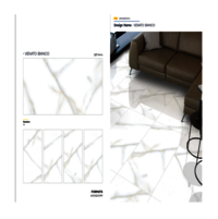 Floor ceramic tiles