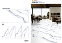 Floor ceramic tiles