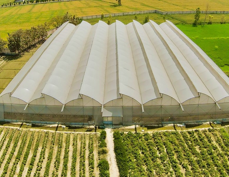 Agriculture Greenhouse Structure - Features: Durable