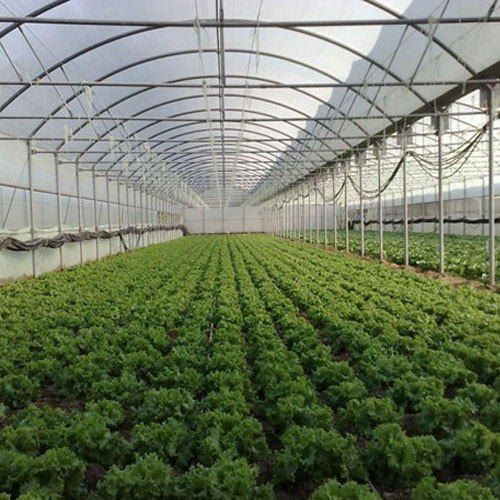 Agriculture Greenhouse Structure - Features: Durable