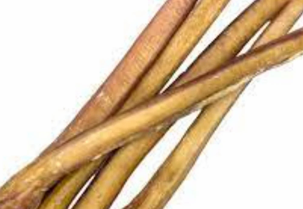 Dog Tibia Bone Chew With Meat - Color: White