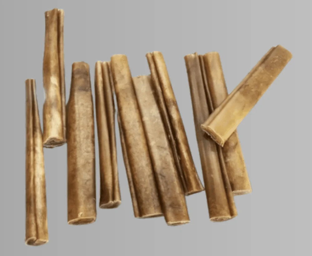 Dog Tibia Bone Chew With Meat