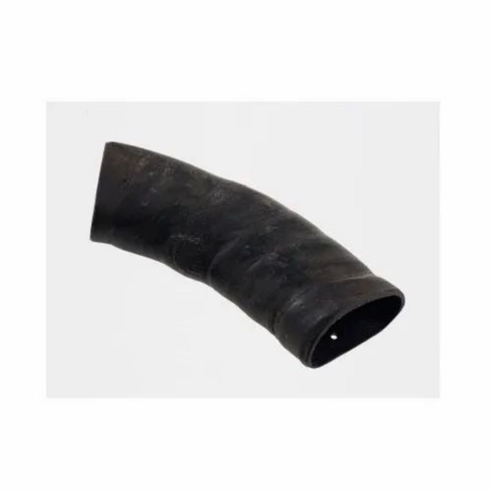 Buffalo Horn Dog Chew - Color: Black