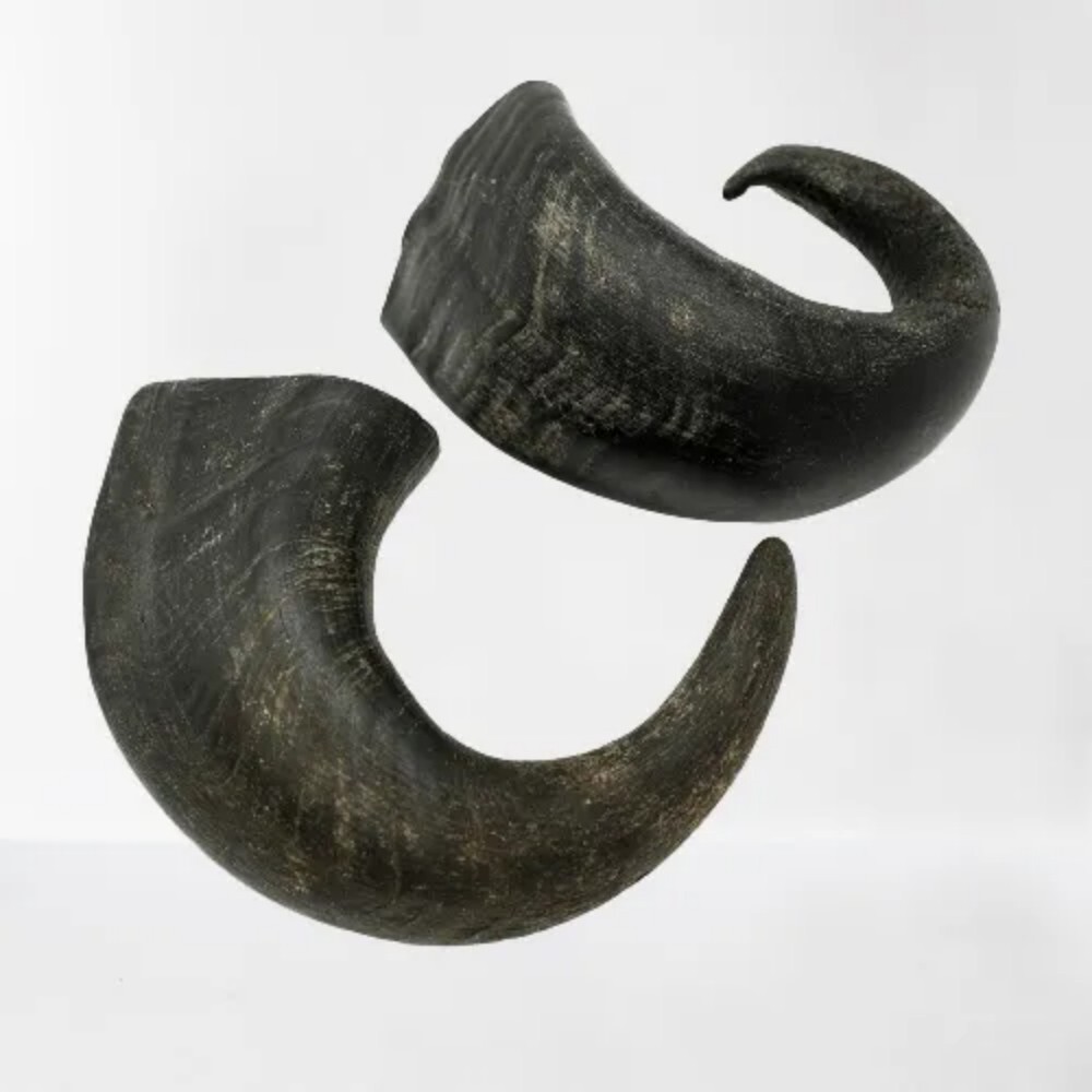 Stuffed Buffalo Horn Hobs With Filled Meat