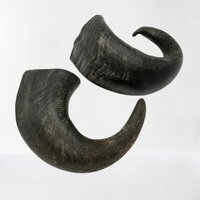 Stuffed Buffalo Horn Hobs With Filled Meat