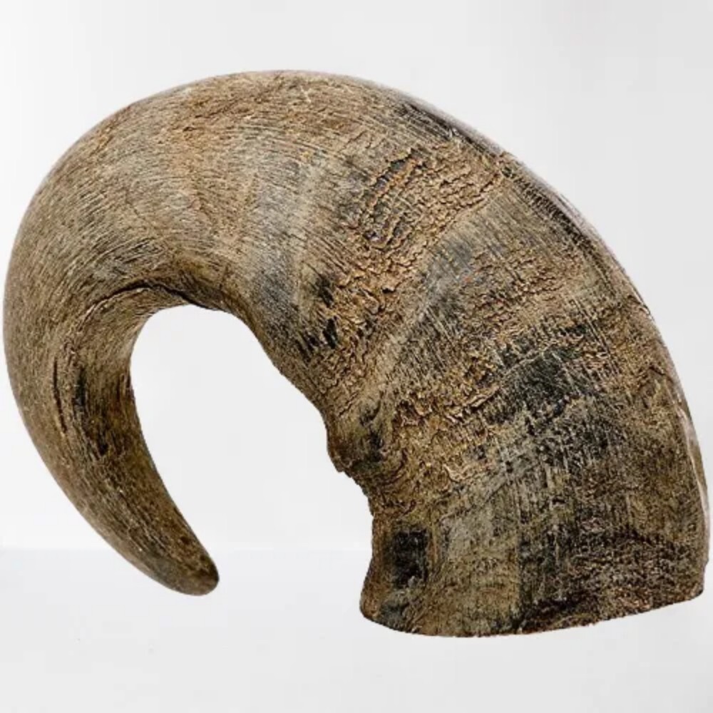 Stuffed Buffalo Horn Hobs With Filled Meat