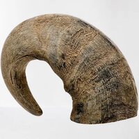 Stuffed Buffalo Horn Hobs With Filled Meat