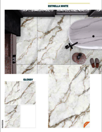 Porcelain slab tiles