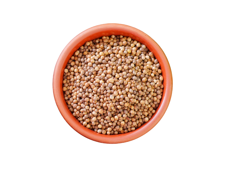 Coriander Seeds - Raw Food-Grade Spice, Vibrant Green Color, 12 Months Shelf Life, Ideal for Culinary Applications, Suitable for Bulk Trading