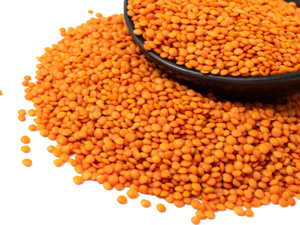 Masoor Dal