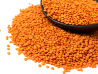Masoor Dal