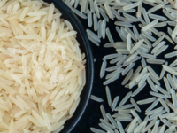 1509 Basmati Rice