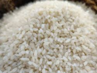 Jeera Samba Rice