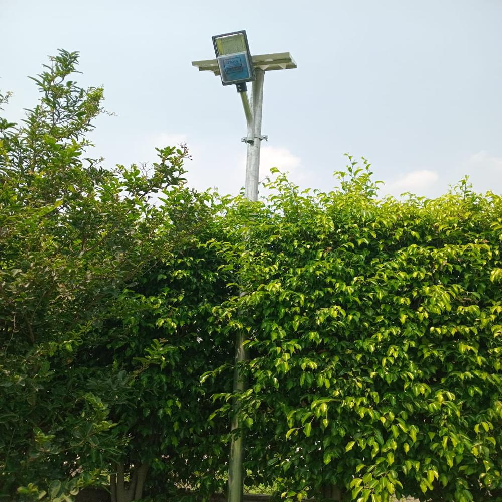 Solar Street Light - Ms Material, 110-215 Volt Input, Sleek Black Finish | Energy-efficient, Durable For Industrial Outdoor Use, 1-year Warranty