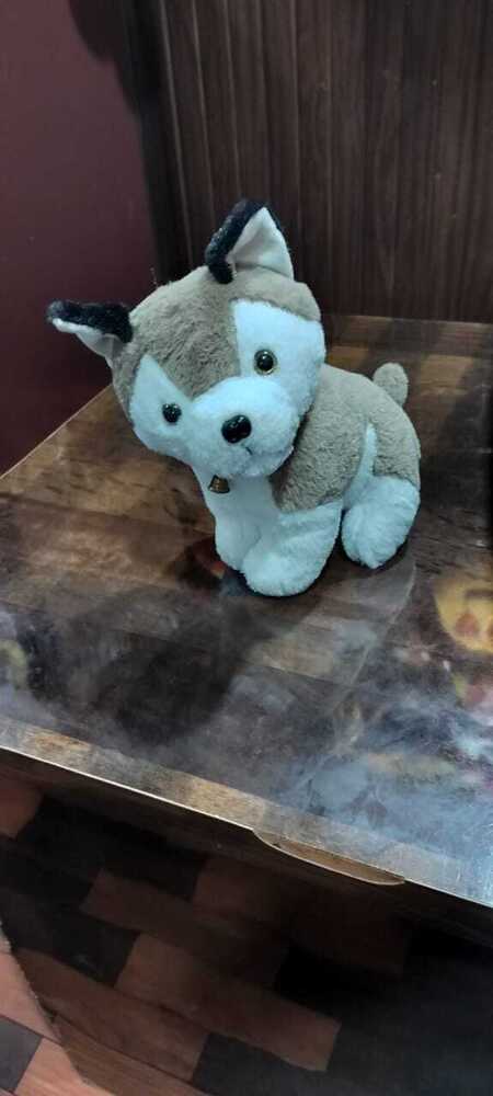 HUSKEY DOG SOFT TOYS