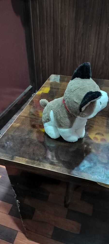 HUSKEY DOG SOFT TOYS