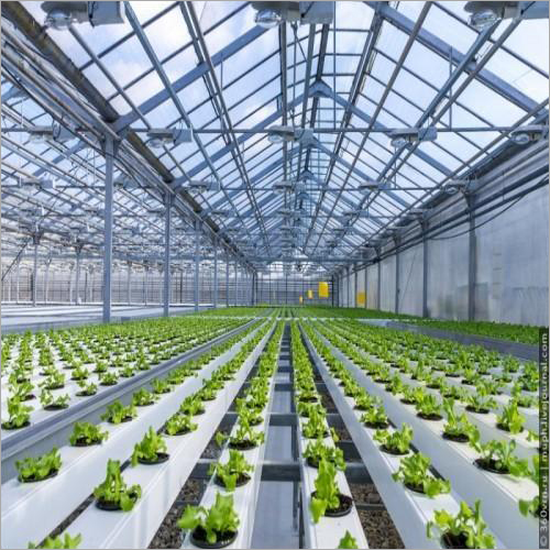 Modular Hydroponic Polyhouse - Features: Eco Friendly