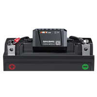 12v Battery Monitoring System - Color: Multiple