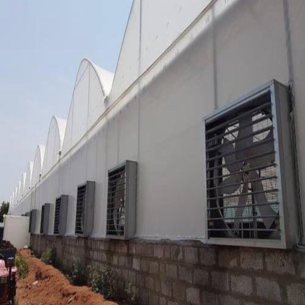 Fan Pad Cooling Polyhouse - Features: Durable