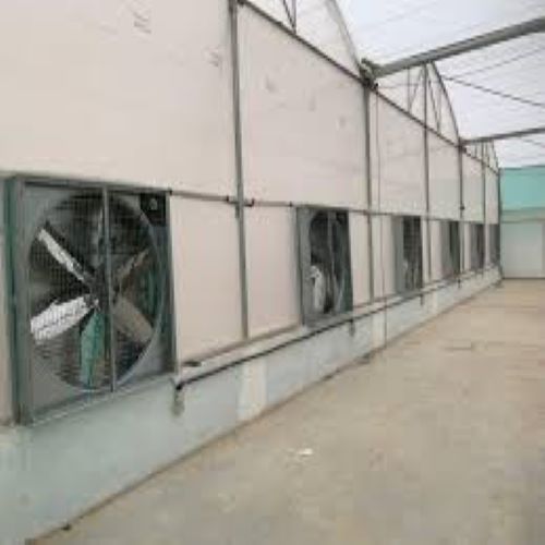 Fan Pad Cooling Polyhouse - Features: Durable