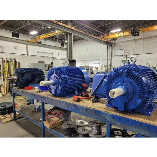 Electric Motor Maintenance Service