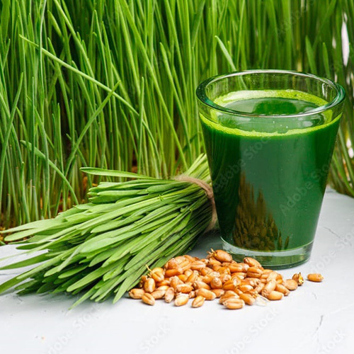 Organic Wheat Grass Shell Powder