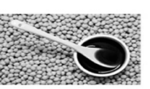 Soya Lecethin Liquid