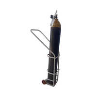 Mild Steel Oxygen Cylinder Trolley