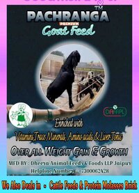 Premium Goat Feed