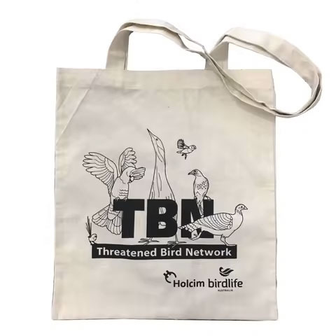 Wholesale Natural Calico Cotton Canvas Tote Bag With Company Logo Promotional Canvas Bags Custom Print