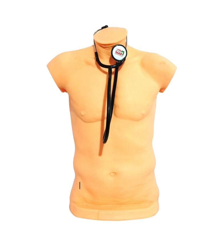 LUNG AUSCULTATION MODEL