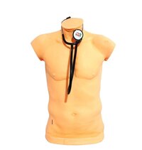 LUNG AUSCULTATION MODEL