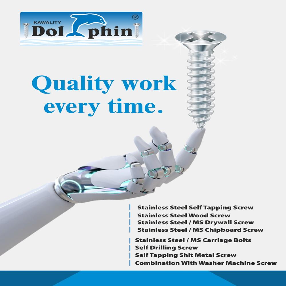 Ss Carriage Bolt - Color: Silver