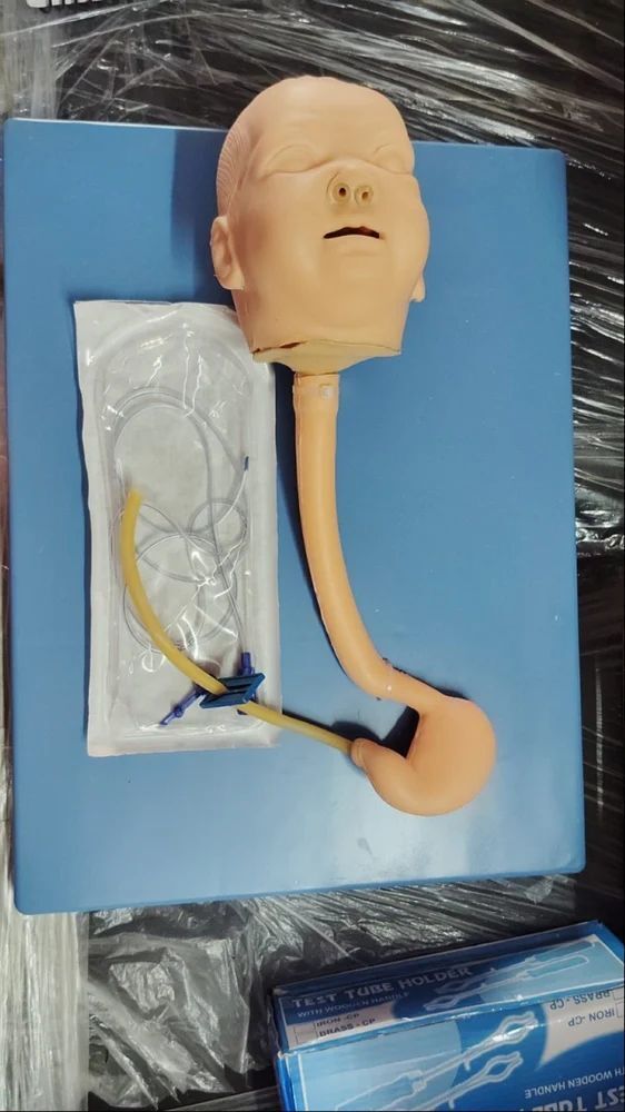 NG TUBE TRAINER ADULT