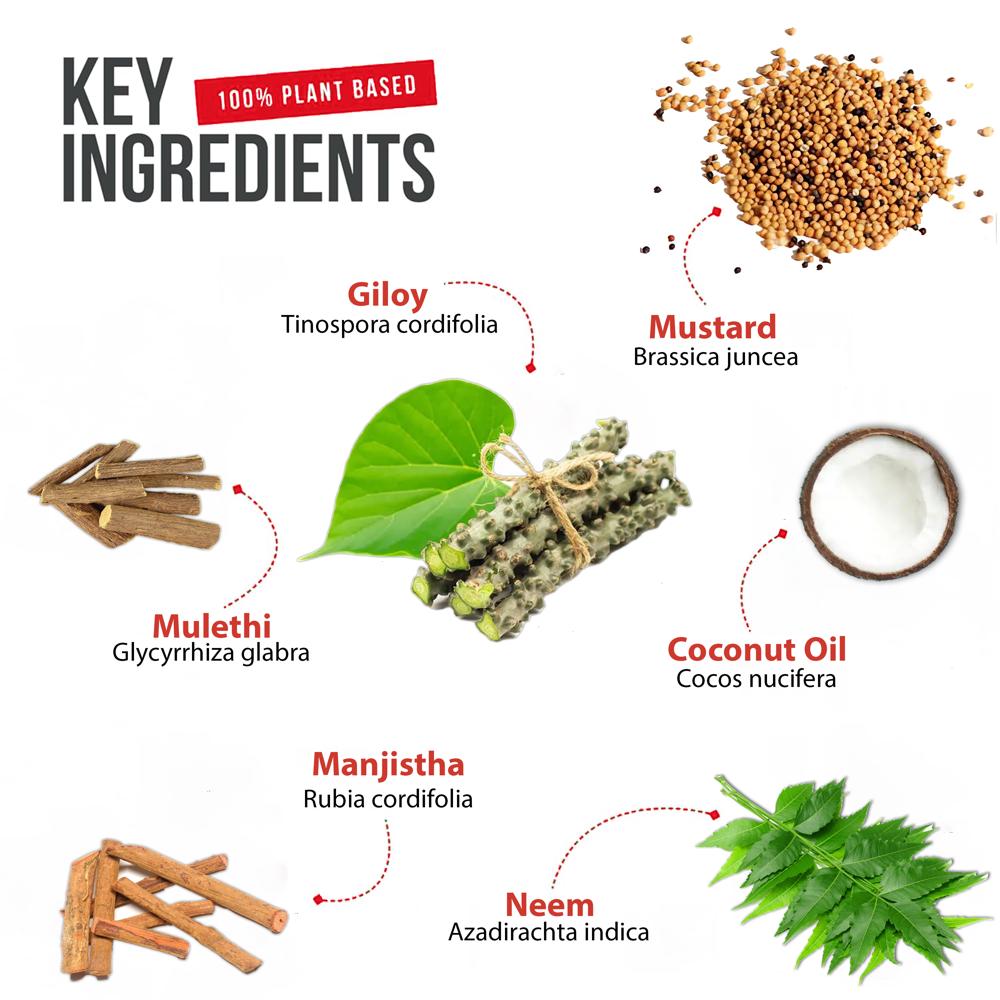 Elife Ayurvedic Eterno Pile Oil