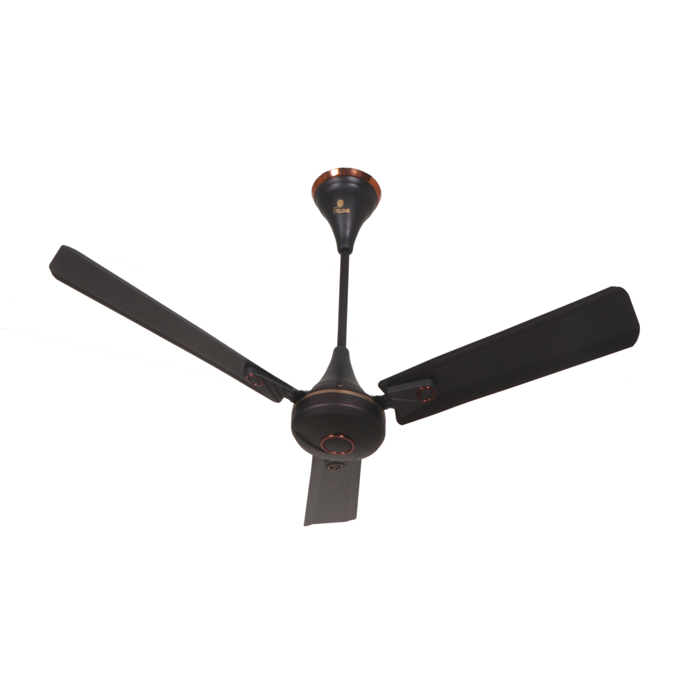 NORTH EV-8 Ceiling Fan