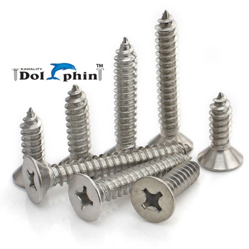 Stainless Steel Screw - Finish: Polished