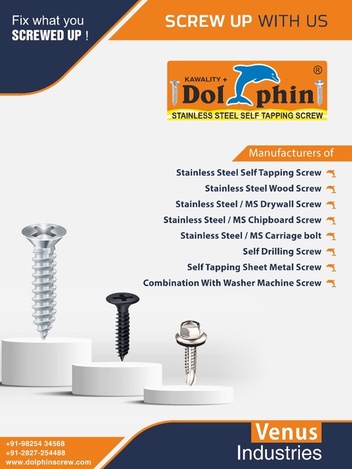 Ss Drywall Screw - Color: Nickle