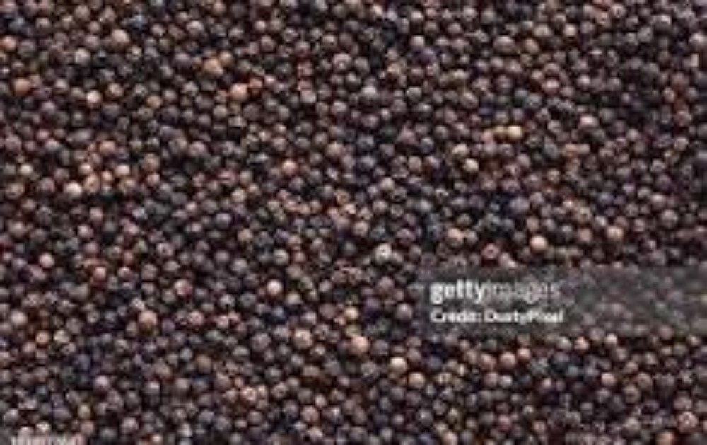Black Pepper - Color: Brown