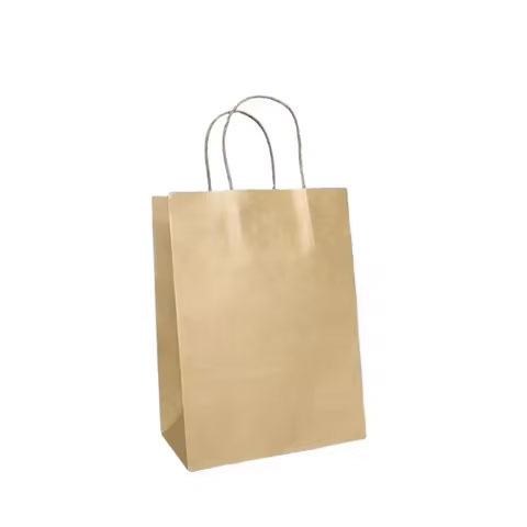 2025 High Quality Biodegradable Kraft Paper Bag New Design Promotional Printed Style
