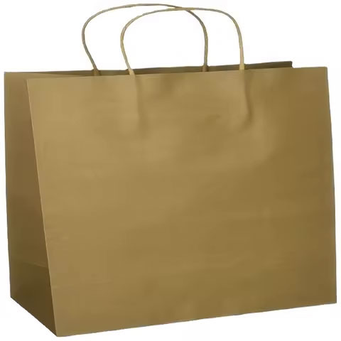 Paper Shopping Bag