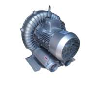 Ring Air Blower