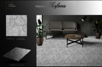 Polished porcelain tiles