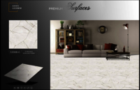 Polished porcelain tiles