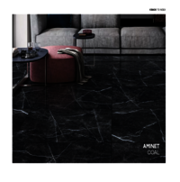 Porcelain ceramic tiles