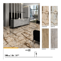 Porcelain tile cladding